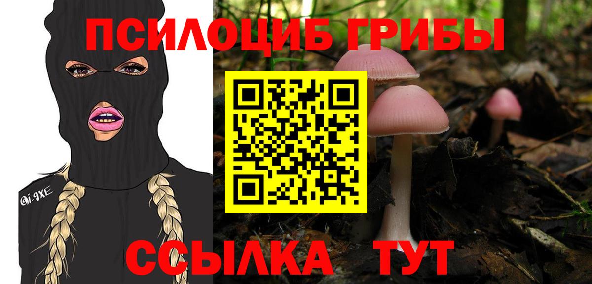 Галлюциногенные грибы GOLDEN TEACHER Сосновый Бор